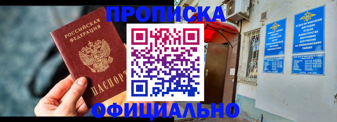прописка 2025 в Коле